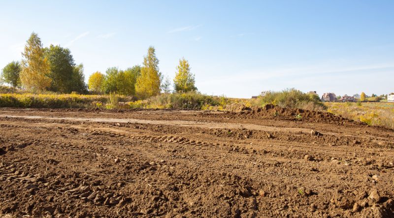 Easement Land Clearing in Katy, TX