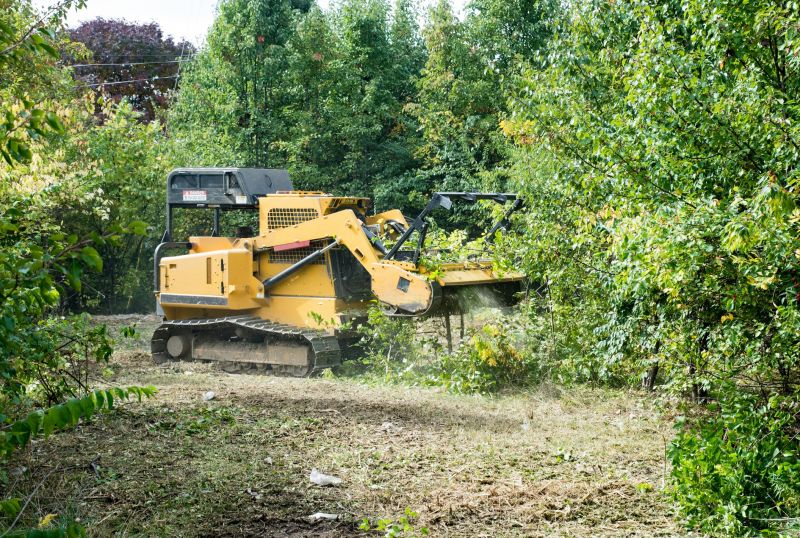 Field Clearing in Houston, TX