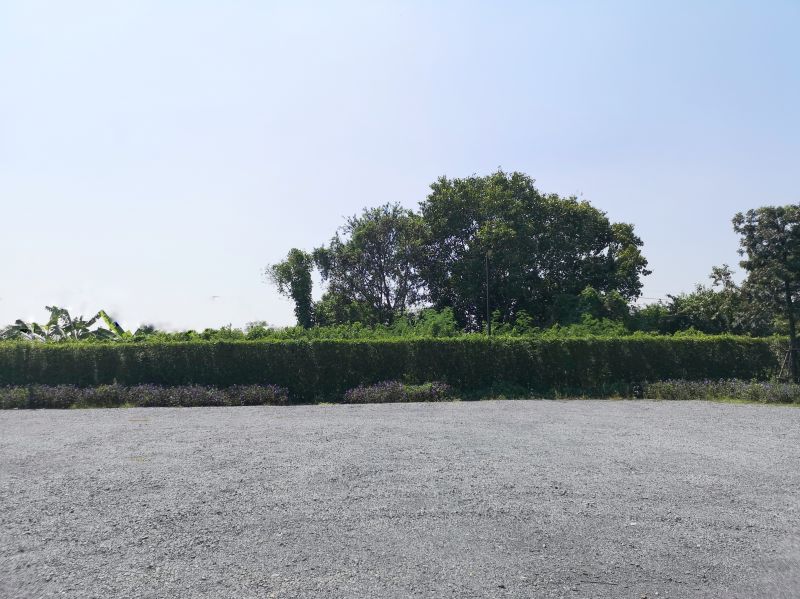 Gravel Road Installation in Houston, TX