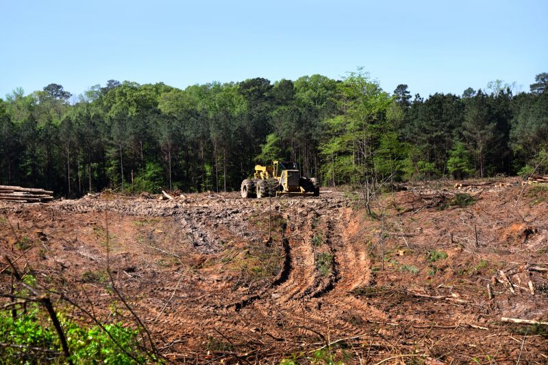 Slope Clearing in Atlanta, GA