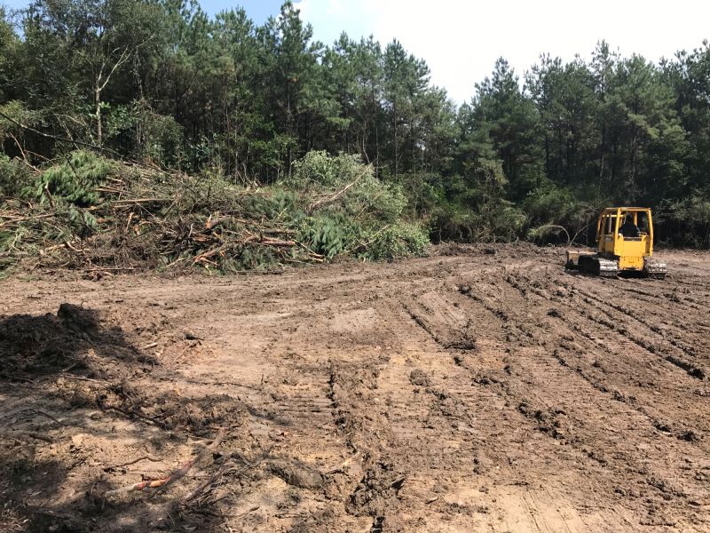 Thicket Clearing in Marietta, GA